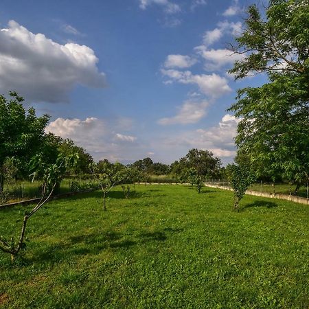Villa Ankin Dvor à Galovac  Extérieur photo